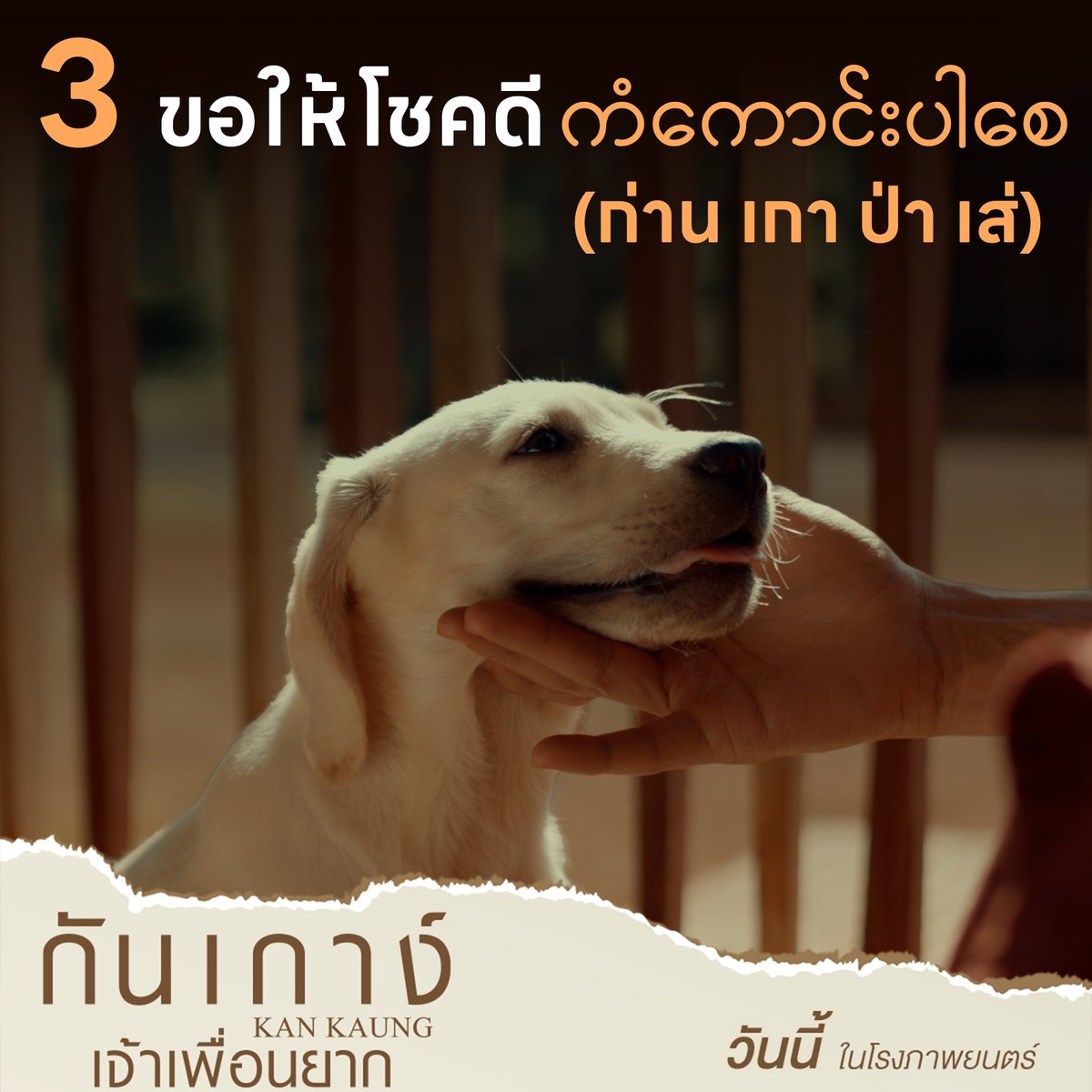 5 คำศัพท์พม่าน่ารู้
มีคำว่าอะไรบ้างมาดูกัน~

วันนี้ ในโรงภาพยนตร์
ဦးဇင်းနဲ့ ခွေးကလေးကံကောင်းတို့ရဲ့ ကြည်နူးဖွယ်ရာ မေတ္တာဖွဲ့ရုပ်ရှင်ကားကြီး ဒီနေ့ ရုပ်ရှင်ရုံတွေမှာ ပြသနေပါပြီနော်
#กันเกาง์เจ้าเพื่อนยาก
#KANKAUNG
#ไป่ทาคน #PaingTakhon