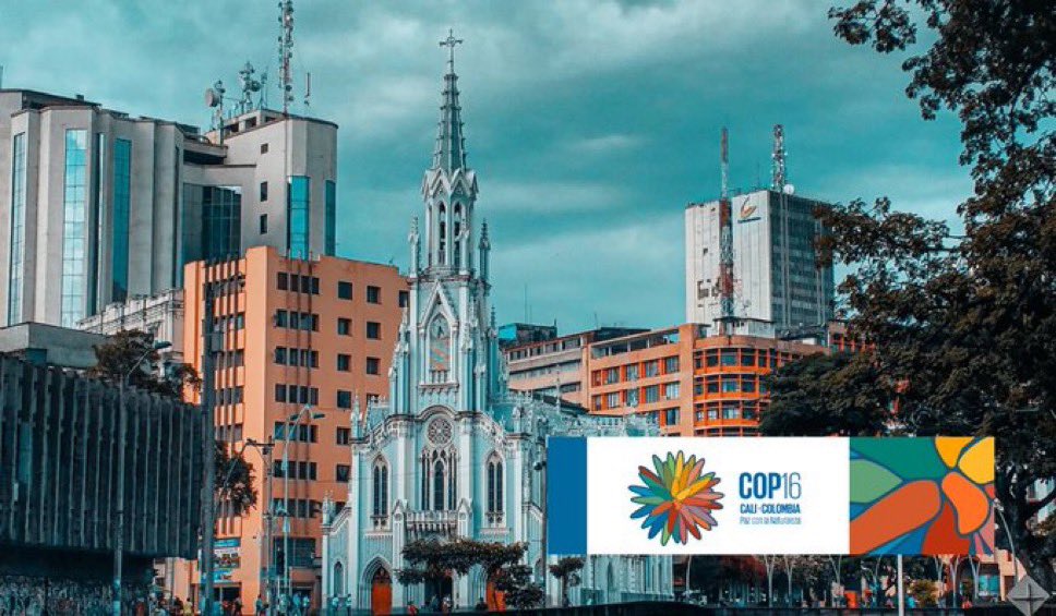 FasecoldaOficia's tweet photo. Desde #Fasecolda confiamos plenamente en las autoridades nacionales y locales para garantizar la #Seguridad durante la #COP16. ¡Estamos listos para apoyar y contribuir con nuevas ideas para proteger la naturaleza y la #Biodiversidad! https://t.co/CKVpPiHzB0