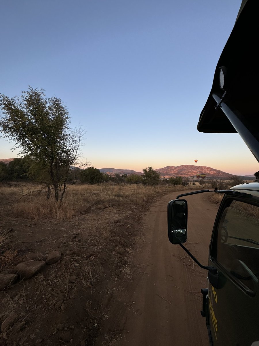 PiggottTrips's tweet photo. Amazing first safari drive early this morning. It was very chilly but everyone had eyes on for animal spotting! https://t.co/VdoKyLLNm5