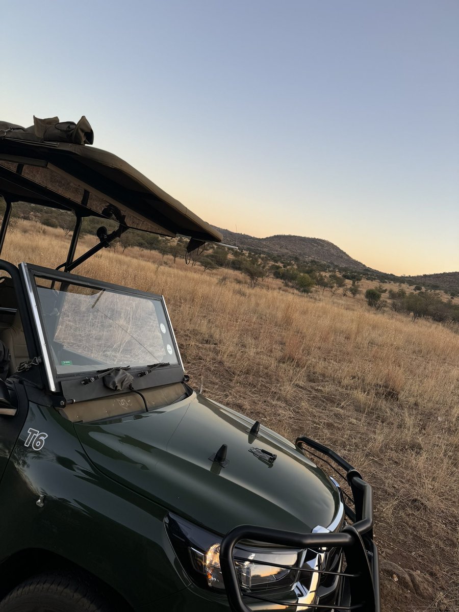 PiggottTrips's tweet photo. Amazing first safari drive early this morning. It was very chilly but everyone had eyes on for animal spotting! https://t.co/VdoKyLLNm5