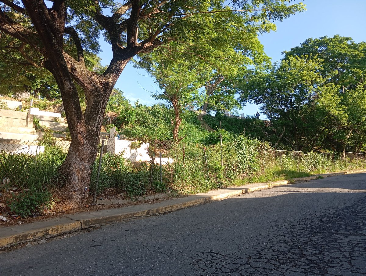 Así ha permitido el Gobierno Municipal de la Parroquia Cúa del Estado Miranda, que se siga ampliando sin ningún tipo de control, el cementerio Municipal, llegando incluso las tumbas a estar a escasos 100 metros de una Unidad Educativa. Cero salubridad y todo lo que conlleva