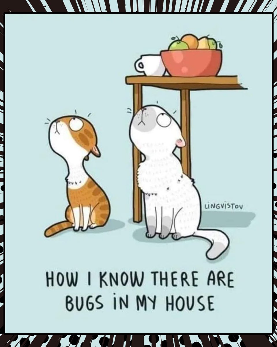 CountryPetLodge's tweet photo. Two cat detectives on the case! π΅οΈββοΈπ΅οΈββοΈ Nothing escapes their watchful eyes when there's a bug invasion afoot. πͺ³ππΉ #BugBusters #CountryPetLodge
Thanks, Landysh Akhmetzyanova! ππΆπΉ @lingvistov #lingvistov Support her here: https://t.co/fWkUSYpU5K https://t.co/C1YU24WYMu https://t.co/QBV22kSJjB