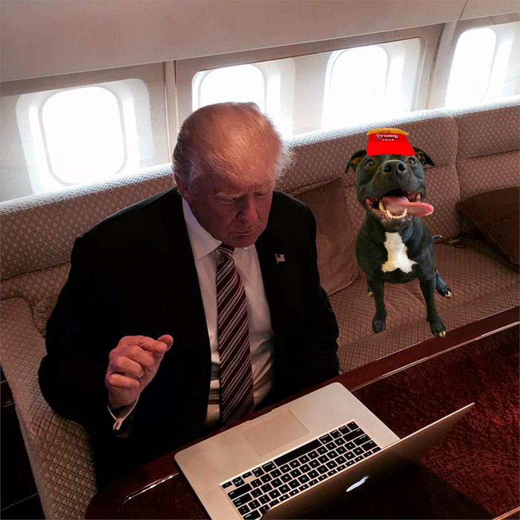 makitonsol's tweet photo. @RutTrades dev cooks something https://t.co/3YF5btrk9v