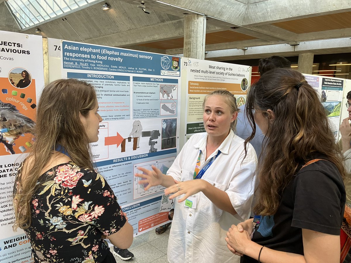 HB_Tilley's tweet photo. Presenting my #PhD #research on #elephant responses 🐘 to novel and familiar foods in different sensory treatments #neophobia #foraging #sensoryecology #animalbehaviour https://t.co/m8fZnU8If2