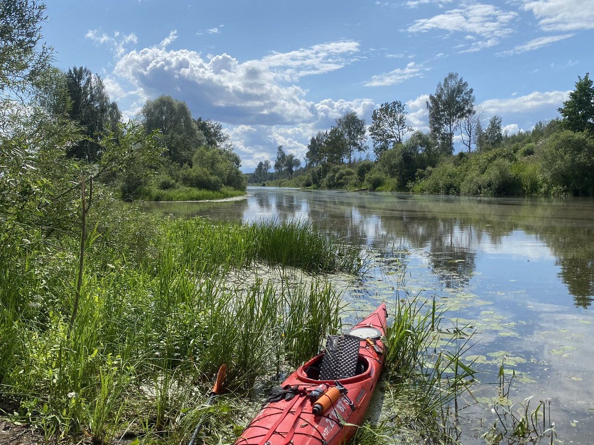 Rēzeknes upe aiz Rikavas ir pasakaini skaista vieta. Vītolu kapsēta, gotas un mērena straume, kas ļauj garo kajaku izgrozīt, kā nepieciešams. Esam sasnieguši Lubāna ezera kanālu gaiteņus. Brauciens tuvojas noslēgumam.