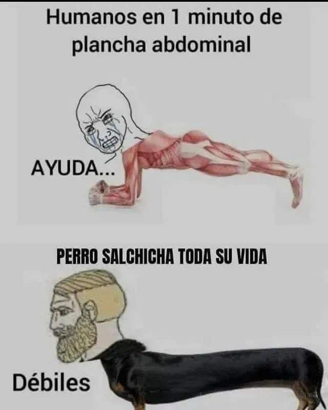 Enséñame de Ciencia (@ensedeciencia) on Twitter photo 