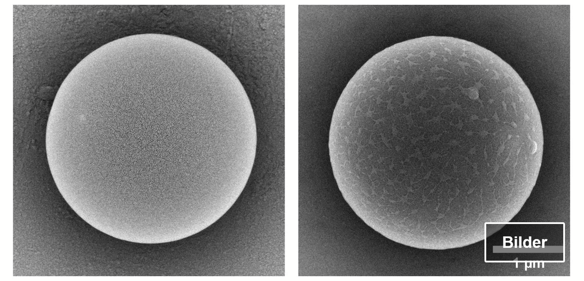 SFB 1357 Mikroplastik tweet media