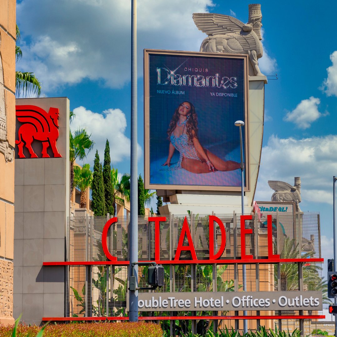 Ayelet Corona Agency - ACA Marketing tweet media