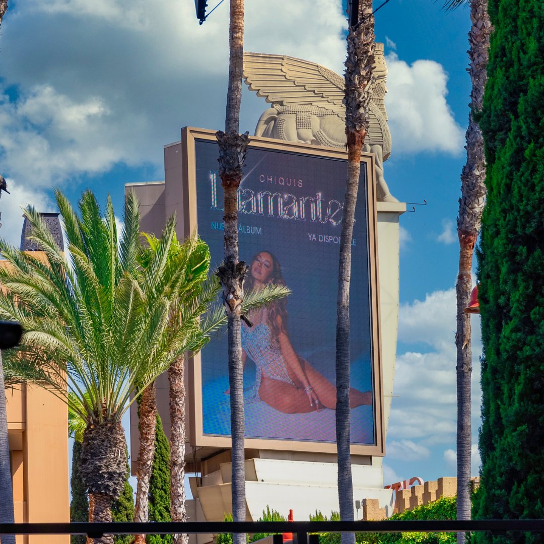 Ayelet Corona Agency - ACA Marketing tweet media