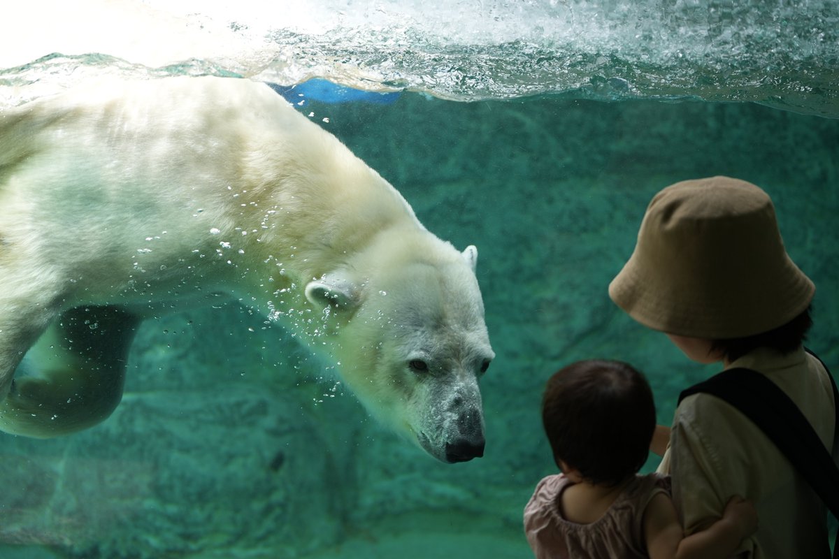 burgerking_lov3's tweet photo. 動物園行って来た

動物撮るの楽しい🥳 https://t.co/2V5g8MC6TT