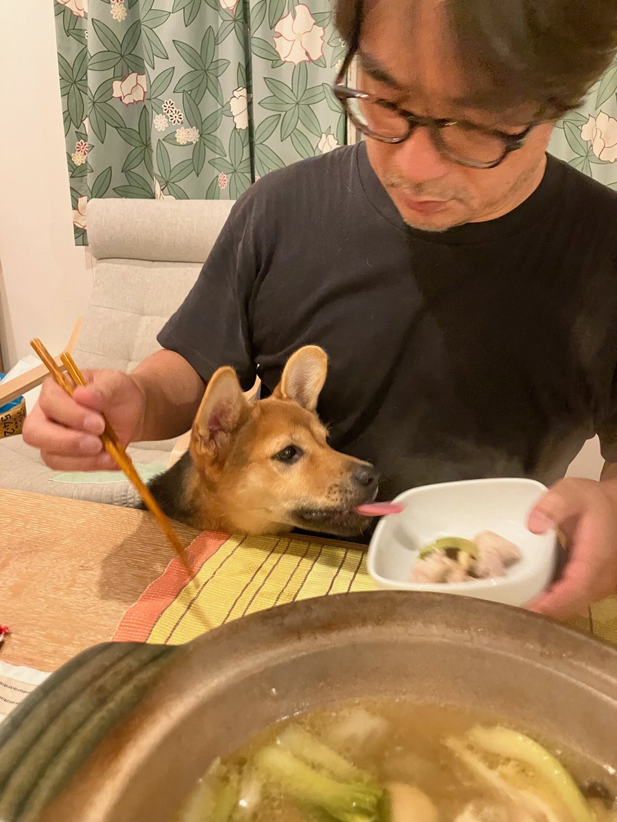 そのちくわ鍋（ちくわも食べられる材料で作った鍋）をひとくちください