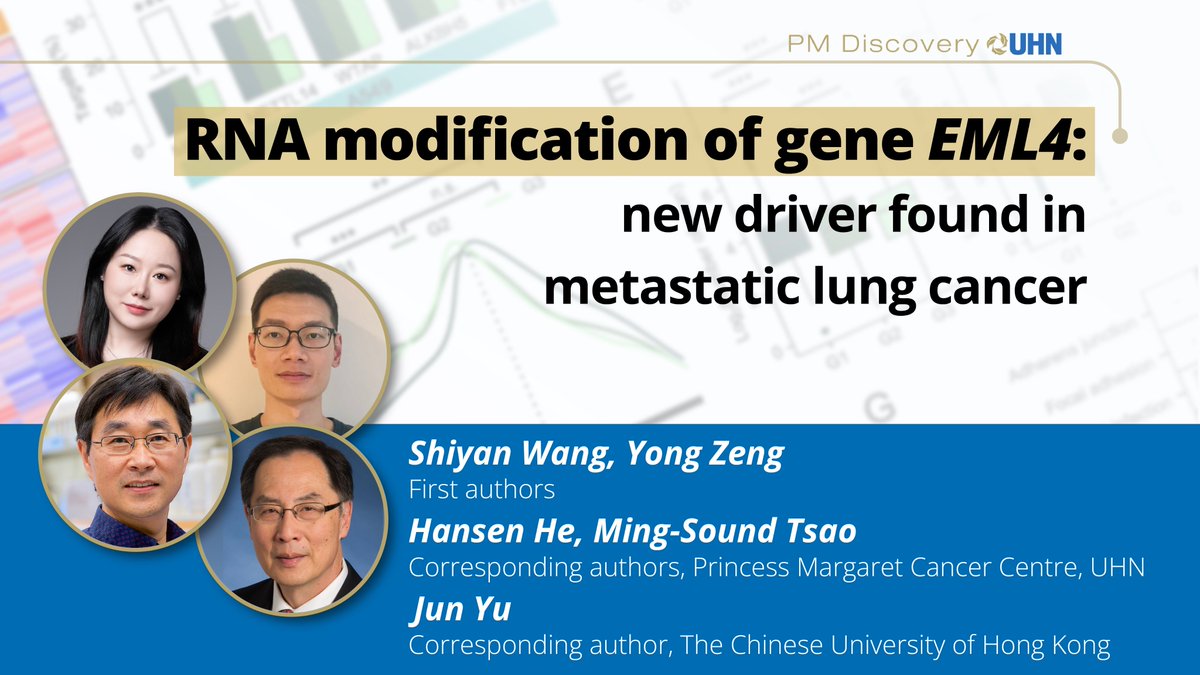 PMResearch_UHN's tweet photo. 🫁Recent study from @pmcancercentre @UHN has unlocked a new understanding of lung cancer through the lens of m6A epitranscriptome. They’ve found a novel driver of metastasis, EML4, opening doors for potential therapeutic targets.

Read on @CD_AACR: https://t.co/uE5F2KUJf0 https://t.co/zL9xQNBhFm