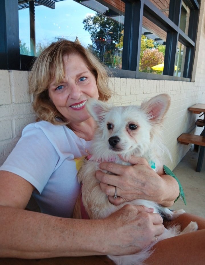onlykellyclark's tweet photo. @LindaFo79318322 @DodsonEvaaaa This is Teddy. He's a total handful but I love him all the same. https://t.co/YwXtuGkAlF