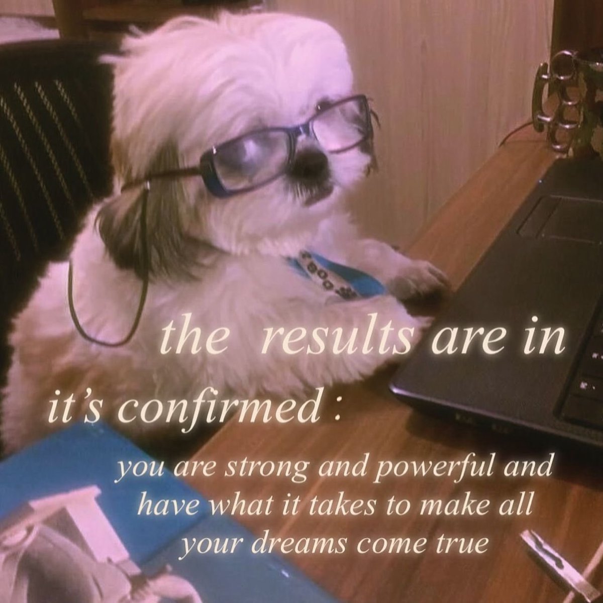 highervibes9's tweet image. Risings✨