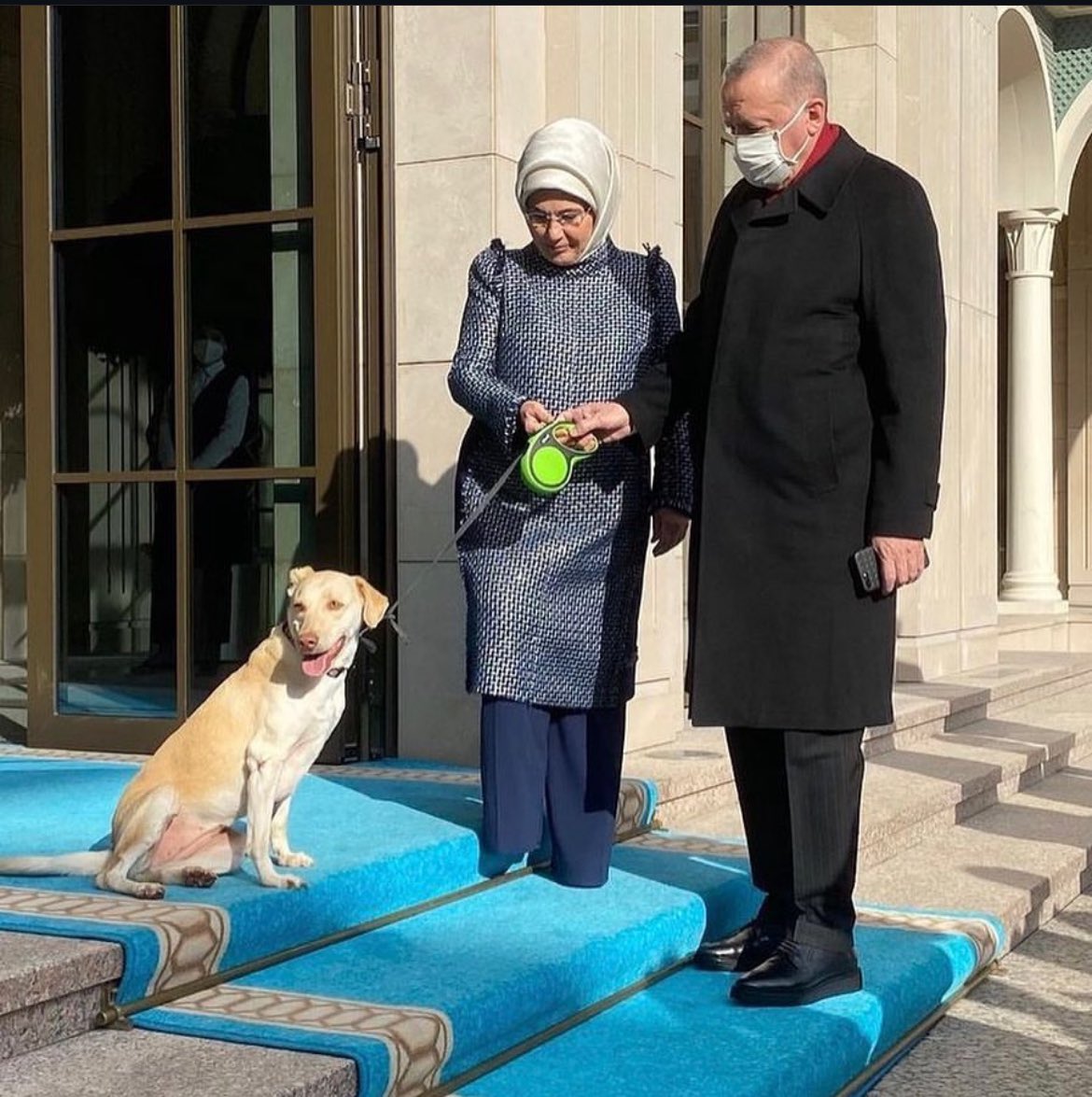 idilakin's tweet photo. Cumhurbaşkanım Leblebi hatırına, lütfen #YasayıGeriÇek. https://t.co/wiLufqXTDM