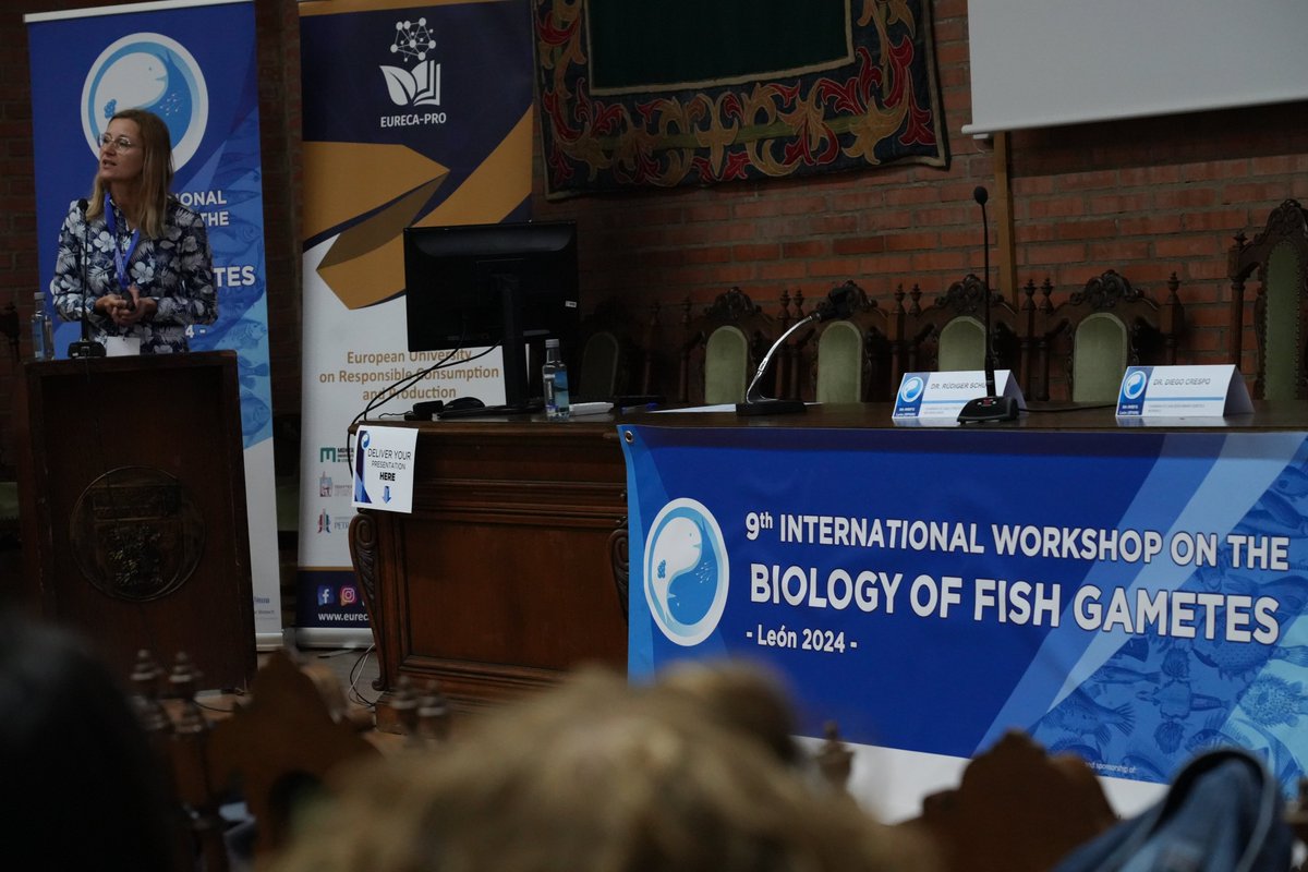 Fish Gametes 2024 tweet media