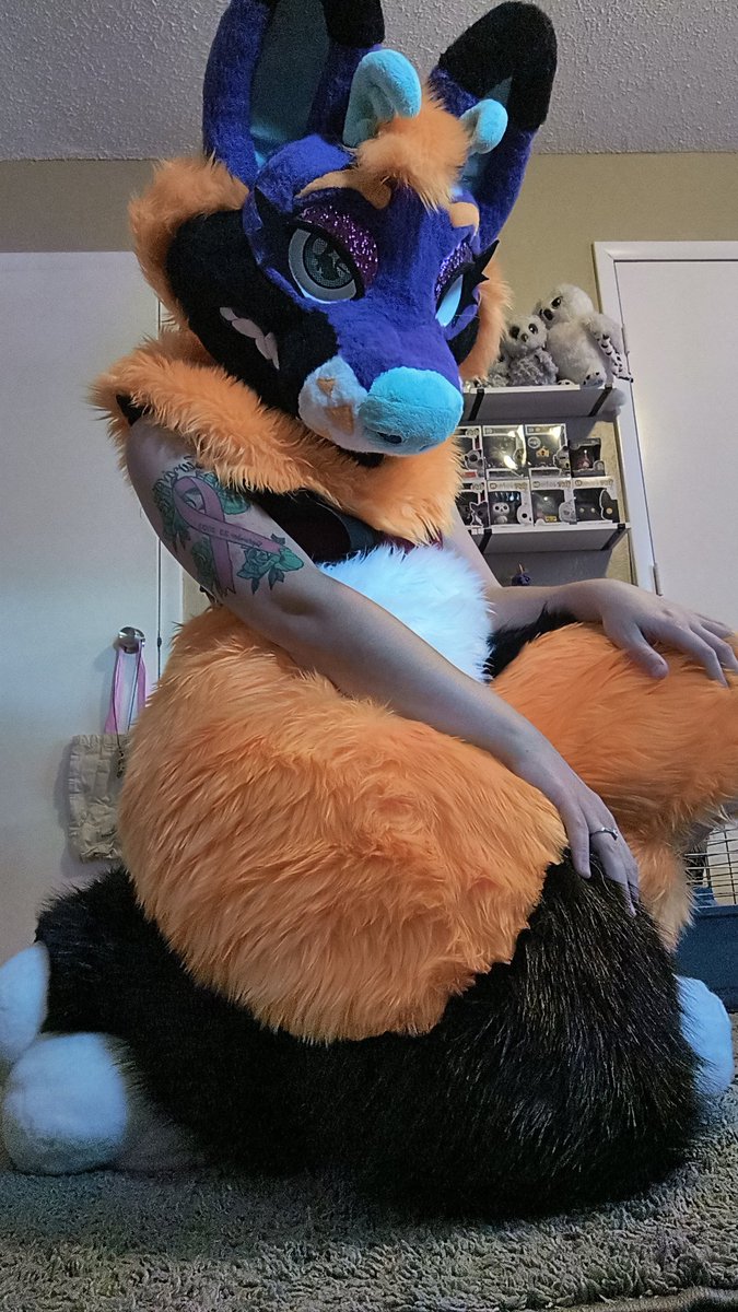 Good morning beautiful furries 💕
Reminder today will be a great day!
Make it yours 💜
You are important, loved and matter❤️
You can do anything you want, and will🖤
I'm proud of you for all you've done and how far you've come, don't ever stop ❤️