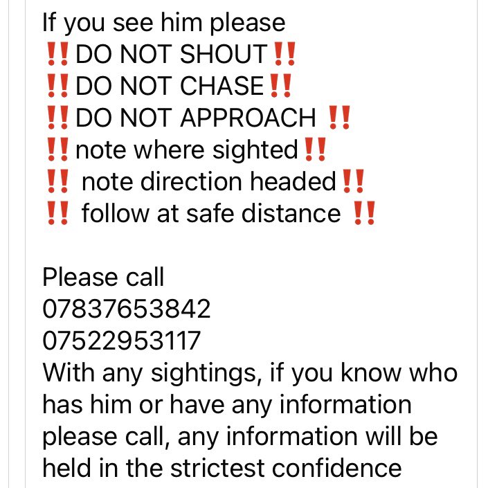 RachaelB100's tweet photo. βοΈMERVINβοΈ
Sadly still #Missing #Stolen
#PetTheft
Since 26/6/2024
#Rickinghall #Suffolk #IP22 #EastAnglia
Chocolate #Labrador
#Chipped #ScanThatChip
Have you seen him?
Help Mervin home π
Did you find & kept #TheftByFinding
https://t.co/nM2oRAzS9J
#bringmervinhome https://t.co/JBawCIRuQO