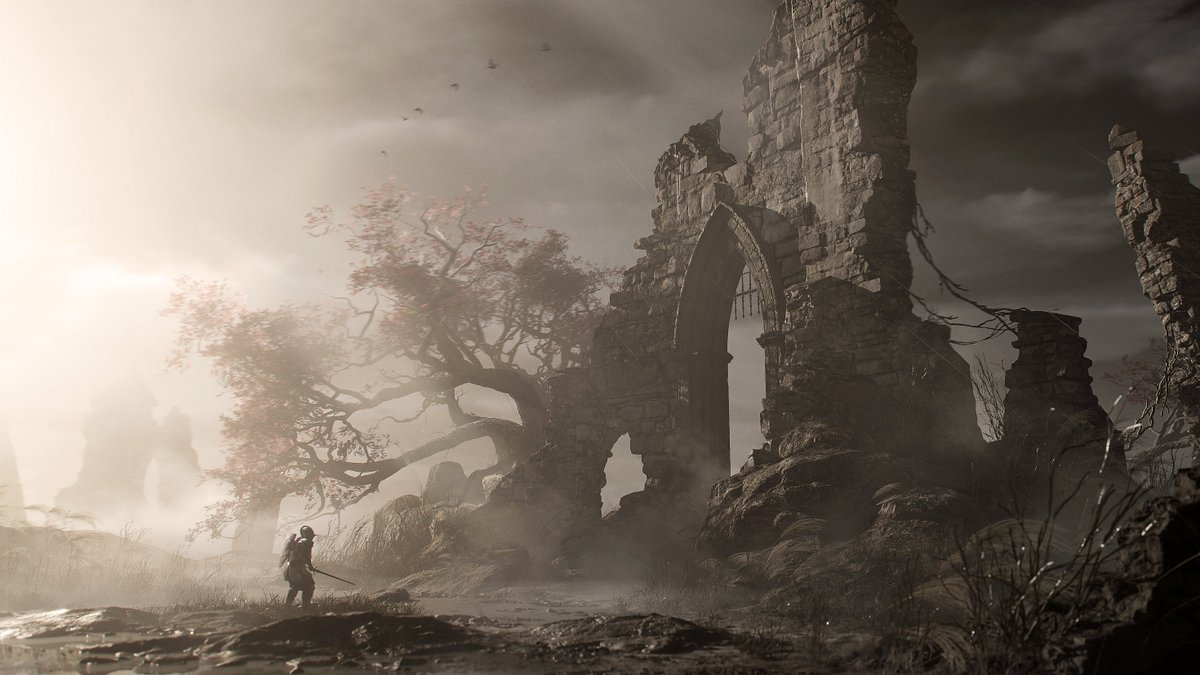 Jonathon Gregory Bick 🦑 tweet media