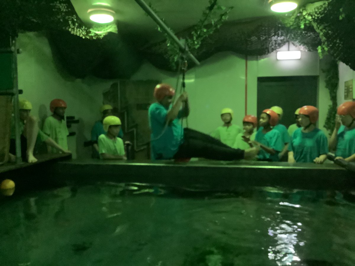 Highfield Primary tweet media