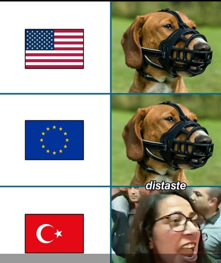 "Yıllarca bu milleti karanlığa ittiniz. 40'larda 60'larda 80'lerde karanlığa ittiniz. 
Dün de ittiniz bugün hala itsiniz."

Sokak köpekleri toplatılsın 
#MilletYasayaEvetDiyor