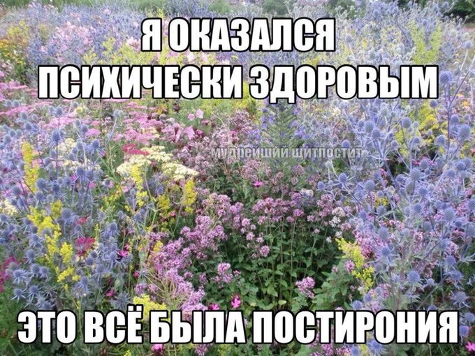 А ведь это могла бы быть Я https://t.co/d46uZuvVVg