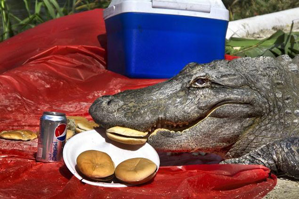 GatorsDaily's tweet photo. mmmmmm borgar https://t.co/FCe3uOIALP