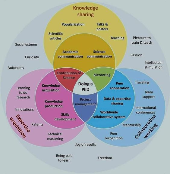 Doing a PhD