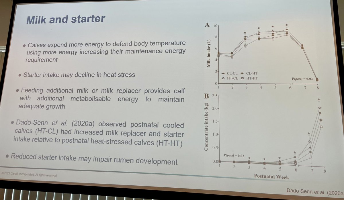 Keeping your calves cool will help maintain milk &amp; starter intakes during hot weather #NationalYoungstockConference
