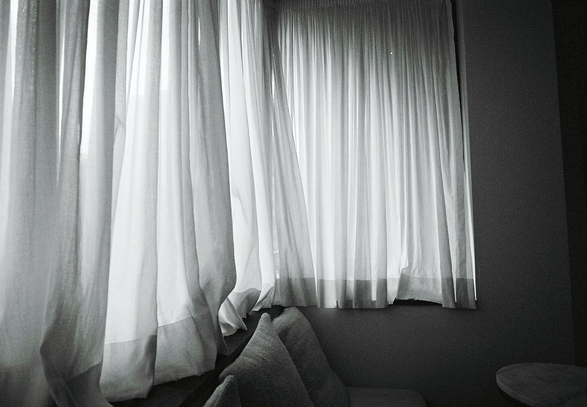 yuhei25lili's tweet photo. #bythewindow
みなさんの窓際の写真素敵で目福。 https://t.co/V1nBr5H6cE