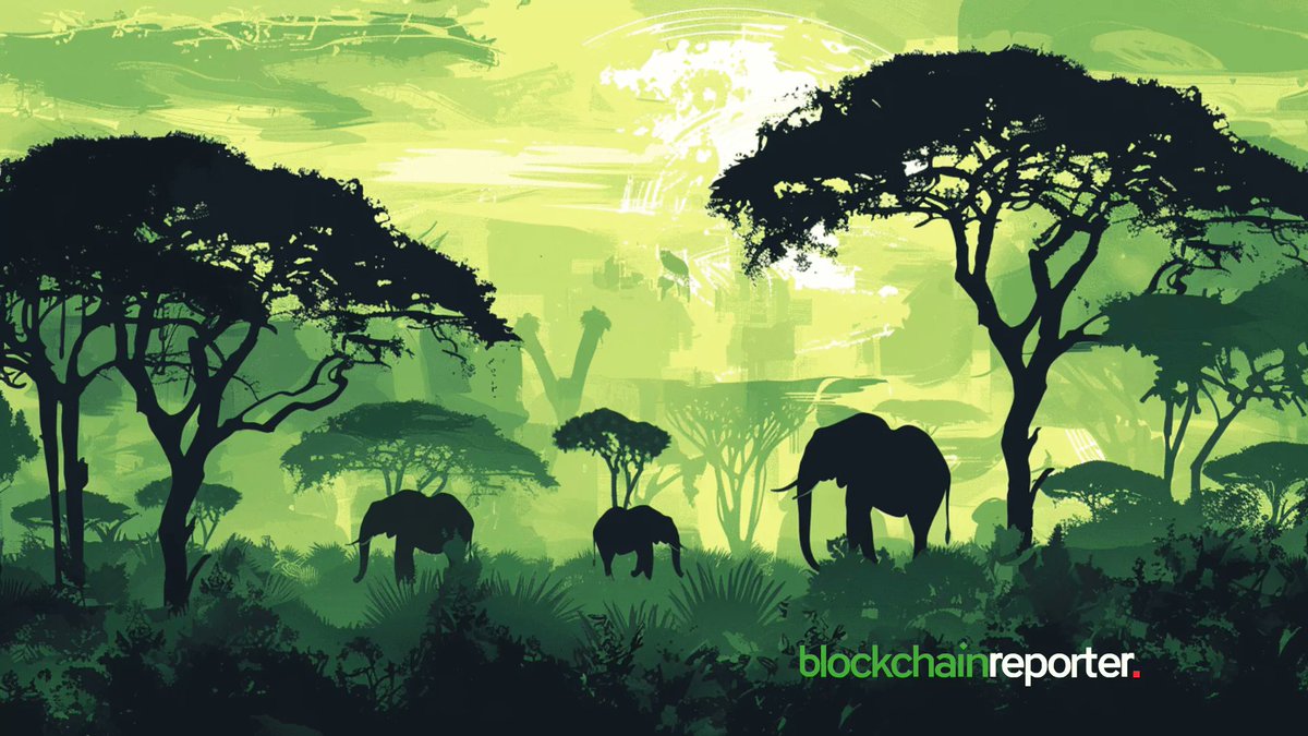 Bitget has been recognized as one of Africa’s unicorns in this latest African Blockchain Report 2023-2024.

@bitgetglobal 

blockchainreporter.net/bitget-feature…