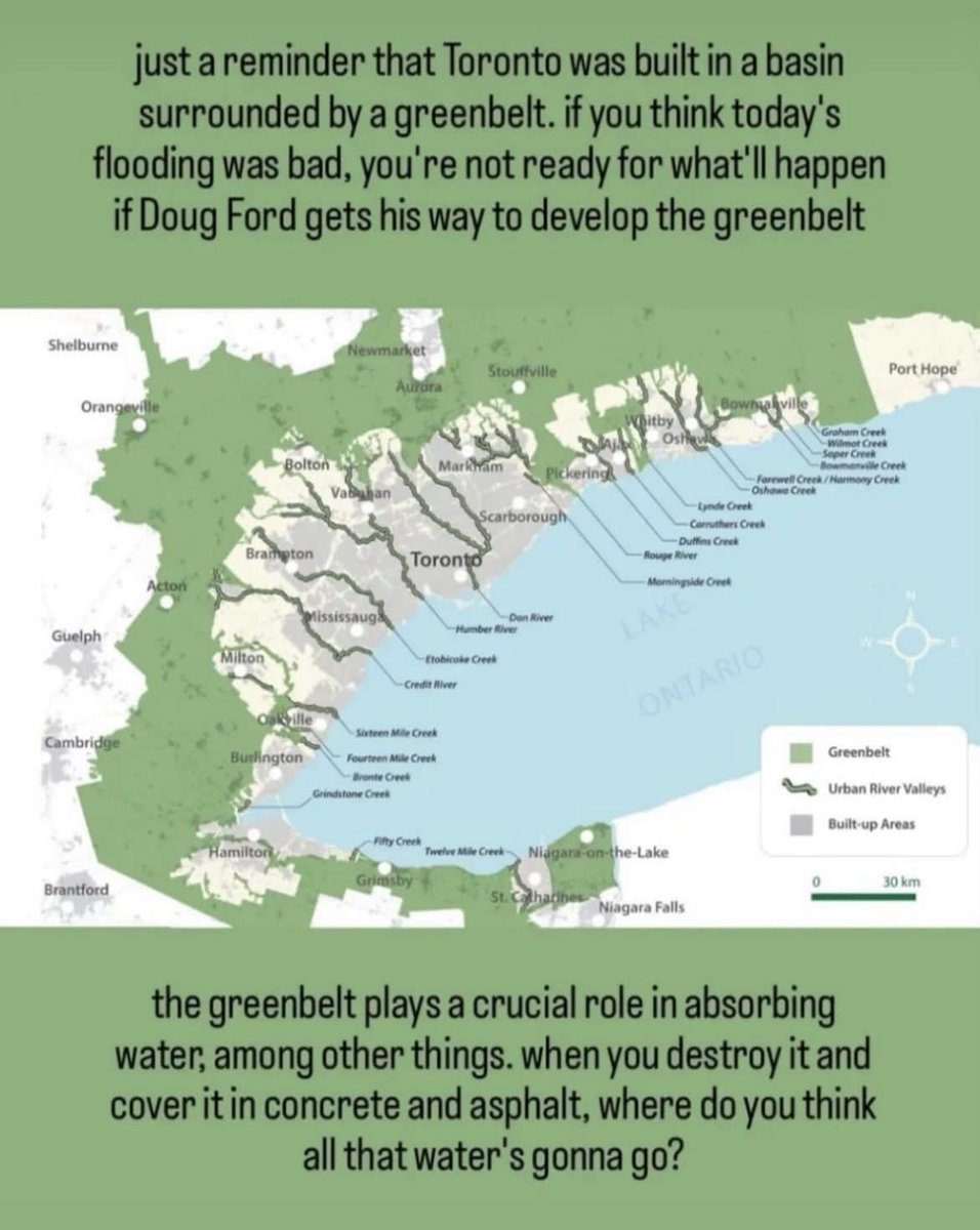 JenMcEditor's tweet photo. Save the Greenbelt. For the love of everything you hold sacred... #Greenbelt #Ontario #Flooding #wildlife https://t.co/hLDgkInjQe