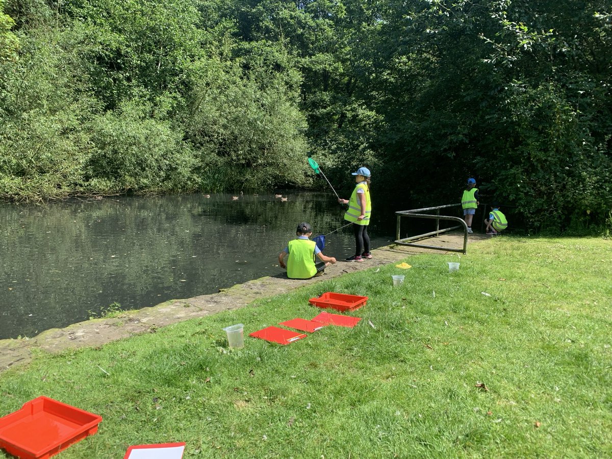 MsHill02825723's tweet photo. Pond dipping @wildbank @trustvictorious #y1adventurers https://t.co/W8nWSYgk13