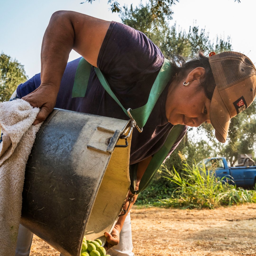 FarmwrkrJustice's tweet photo. Heat illness is something farmworkers constantly have to deal with. They are being put in harm's way to pick the food we need to survive. We must push to have nationwide heat protections for farmworkers.  

#farmworkerjustice https://t.co/BrVhJaDPKJ
