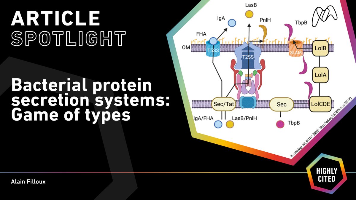 Microbiology Society tweet media