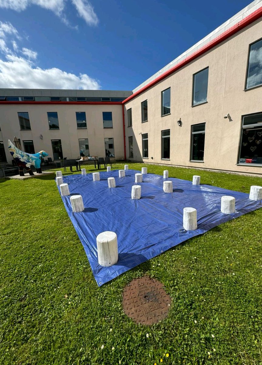 FireFit Hub, Torus Foundation tweet media