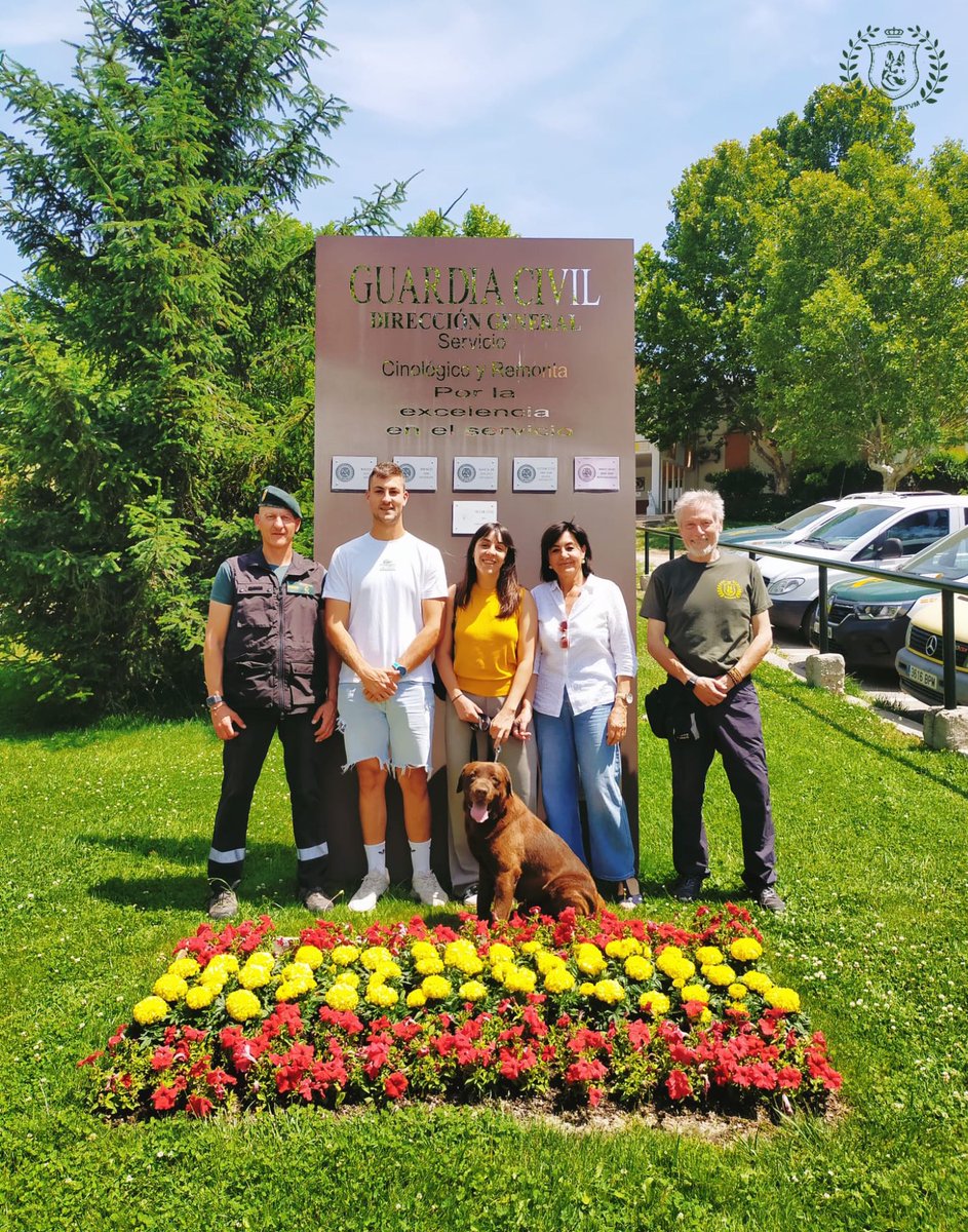 benemeritvm's tweet photo. Que el ritmo no pare! Vamos a por más veranos inolvidables! Esta vez el de 𝐓𝐎𝐁𝐘 @guardiacivil acaba de comenzar con esta familia tan bonita. A ser feliz chocolatito! 𐦐 #ServicioCinológico #LabradorChocolate https://t.co/OuRR8N840Q