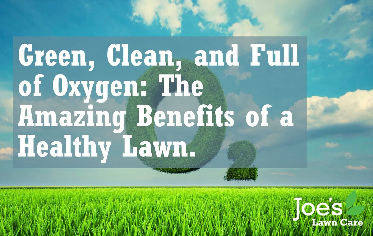 Joe's Lawn Care 🌱 tweet media