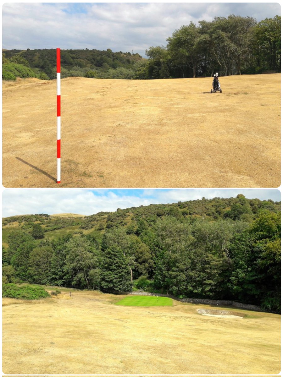6yrs ago today, Burntisland truly lived up to its name... 🔥🏝 

This was the 10th hole <a href="/BurntislandGolf/">BurntislandGolf</a> ⛳️

Never seen a parkland golf course look so dry. 🤯

A far cry from the summer we're currently having, that's for sure! ☺️