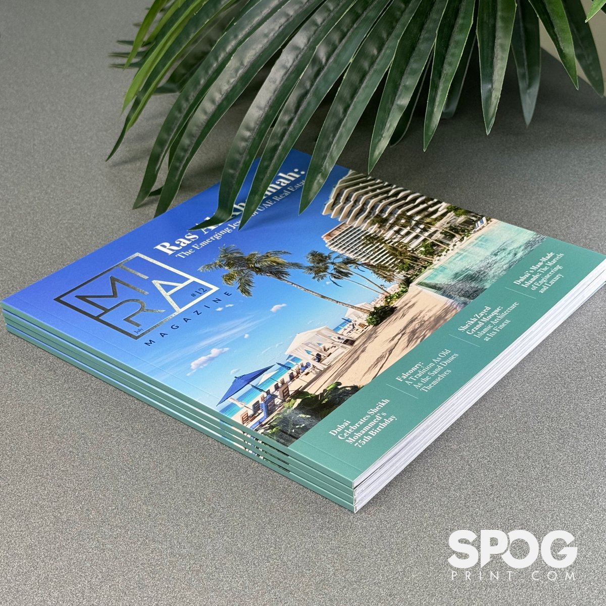 spogprint's tweet image. Premium Real Estate Brochures printed for the master in the industry.

#Spogprint #RealEstateMarketing #LuxuryRealEstate #PremiumBrochures #RealEstateBrochures #LuxuryHomes #PropertyMarketing #HighEndRealEstate #RealEstateAdvertising #RealEstatePrinting #RealEstatePhotography