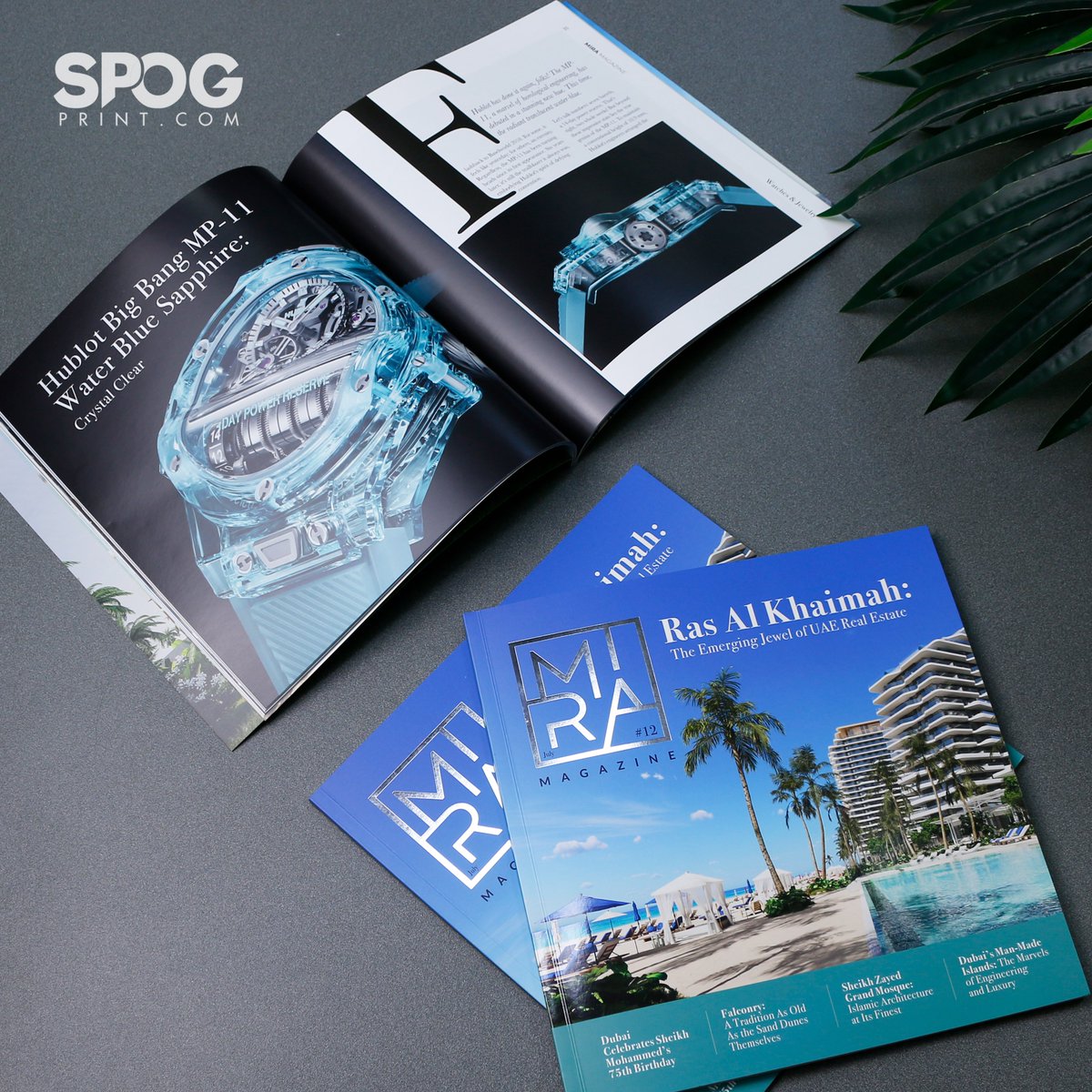 spogprint's tweet image. Premium Real Estate Brochures printed for the master in the industry.

#Spogprint #RealEstateMarketing #LuxuryRealEstate #PremiumBrochures #RealEstateBrochures #LuxuryHomes #PropertyMarketing #HighEndRealEstate #RealEstateAdvertising #RealEstatePrinting #RealEstatePhotography