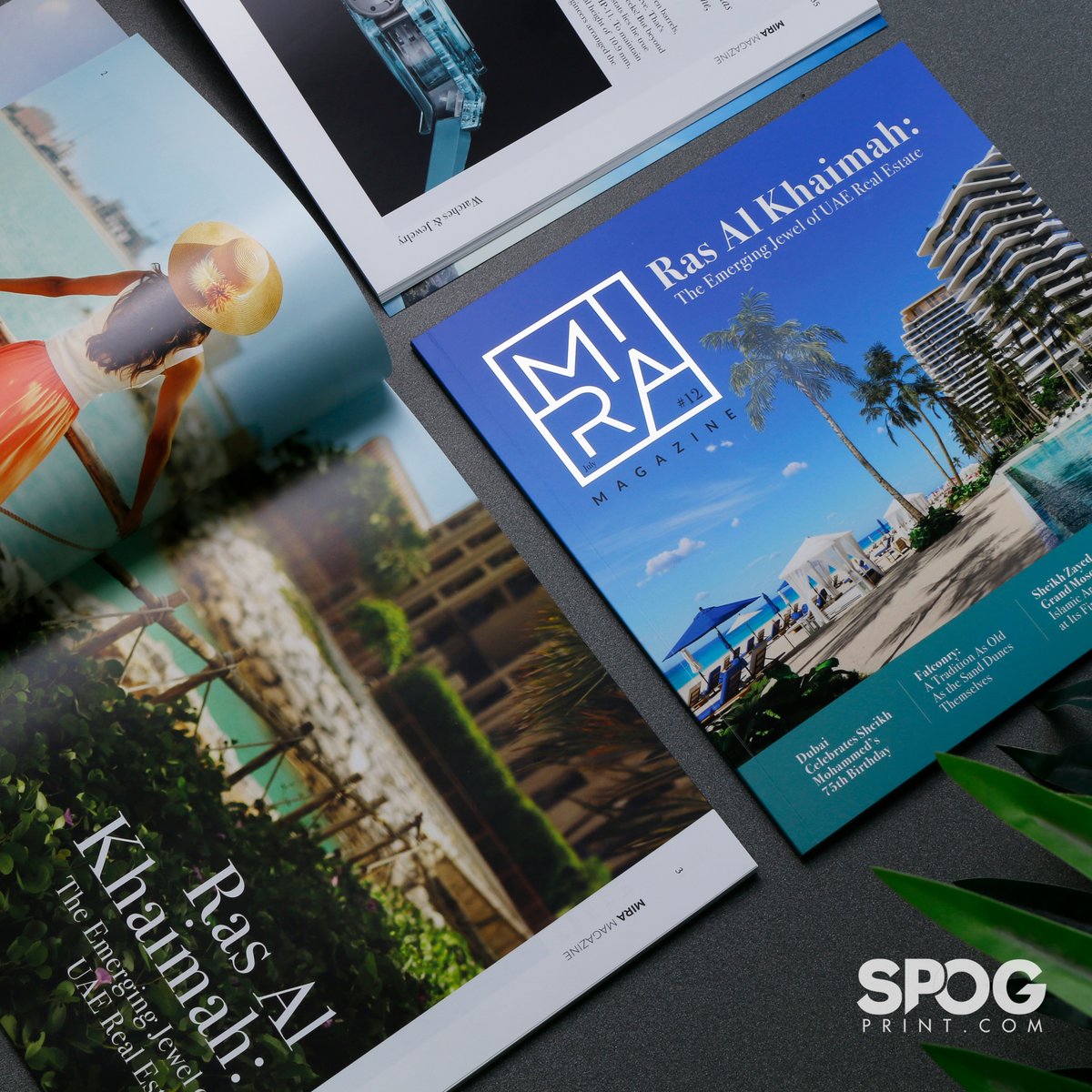 spogprint's tweet image. Premium Real Estate Brochures printed for the master in the industry.

#Spogprint #RealEstateMarketing #LuxuryRealEstate #PremiumBrochures #RealEstateBrochures #LuxuryHomes #PropertyMarketing #HighEndRealEstate #RealEstateAdvertising #RealEstatePrinting #RealEstatePhotography