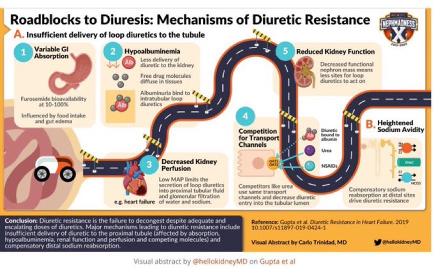 JasmineNephro's tweet photo. 🫘✅Diuretic Resistance https://t.co/cZWNYyr8c7