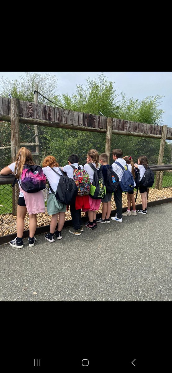 Rhigos Primary tweet media
