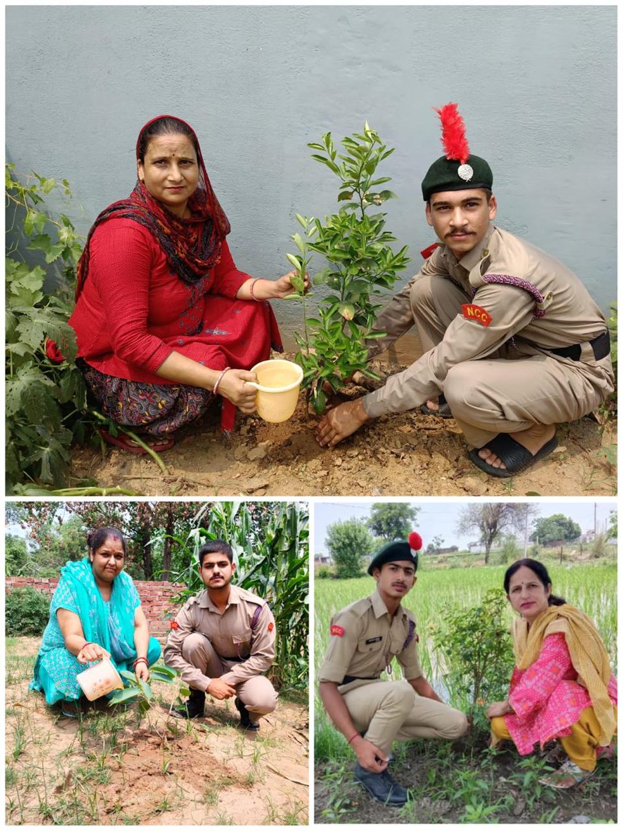 NCCDteJKL's tweet photo. Under the banner of #एक_पेड़_माँ_के_नाम and #OneCadetOneTree,cadets of 2 J&K Bn NCC have actively participated in tree planting.Let's make this monsoon count. Grow a green tomorrow today. @NorthernComd_IA @OfficeOfLGJandK @moefcc @HQ_DG_NCC @prodefencejammu @diprjk @ddnews_jammu https://t.co/ehwuT45abS