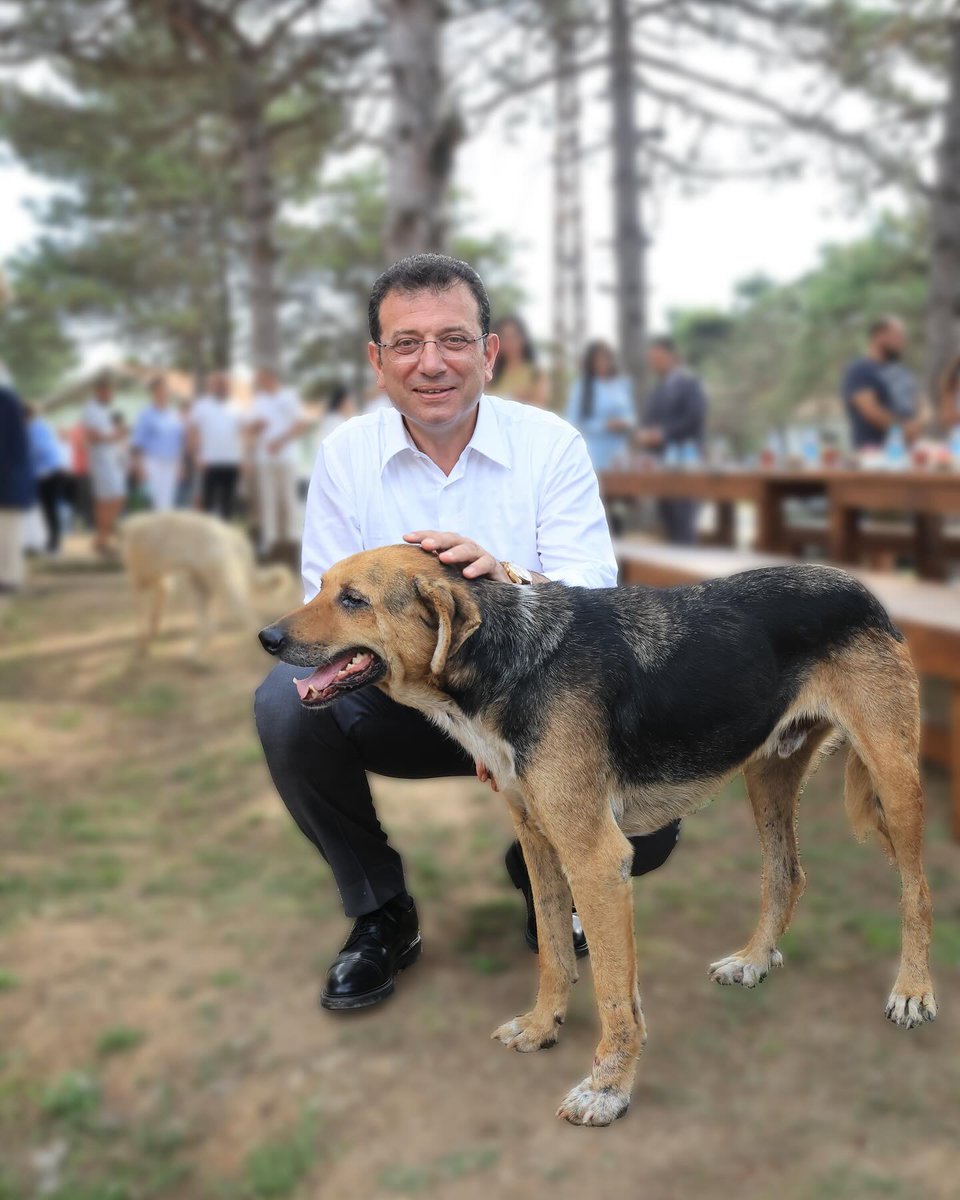 solcugazete's tweet photo. Ekrem İmamoğlu: (Sokak hayvanları yasası)

"Türkiye Belediyeler Birliği sürece dahil edilmedi. Hiçbir belediyeden görüş alınmadı.

Yasa tasarısını bu haliyle doğru bulmuyoruz." https://t.co/xo03jrD1K5