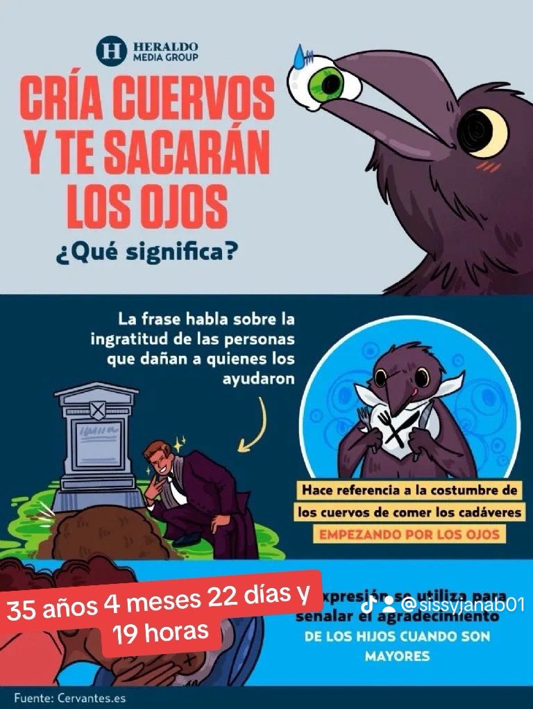 SissyJanaB's tweet photo. #lgtbifobia utilizar la ley de la mujer porque no aceptas su transición . #LGBTQ https://t.co/gPkGHyWn7U