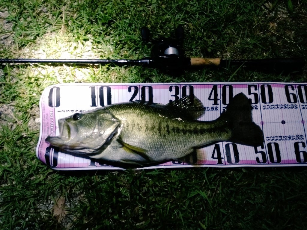 リバウンドスティック7丸呑み🫠49cm