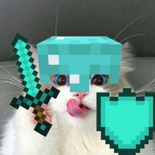 LeekiCTO's tweet photo. We just crossed 1,000 $LEEKI members on our telegram

Paws stays up 

https://t.co/TUlghluLYE https://t.co/9aCQdz0B3K