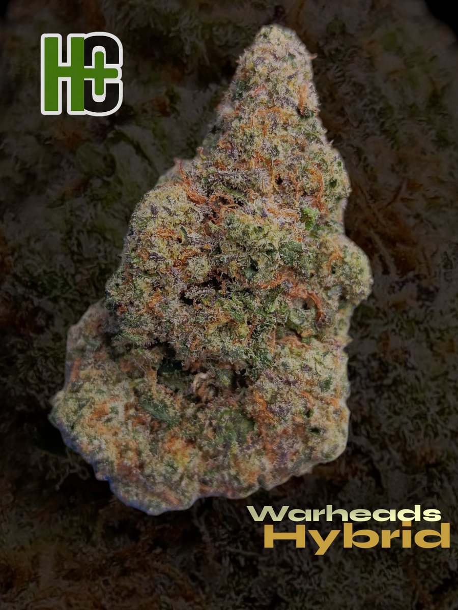 Warheads (Kaboom x Sour Pez) ○ 32% ○ Sativa Dominant Hybrid ○ Uplifting, Happy, Giggly ○ Sweet, Sour, Candy ○ Mycrene, Caryophyllene, Linalool 
 #thca #cannabis #legalweed #legalcannabis #topshelf